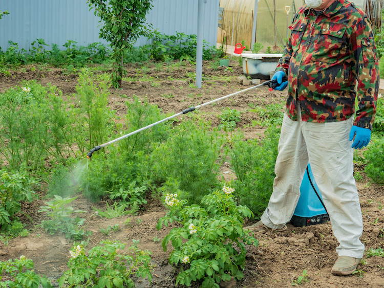 Does Roundup Cause Cancer? Here's What You Need to Know